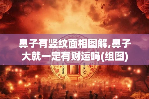 鼻子有竖纹面相图解,鼻子大就一定有财运吗(组图)