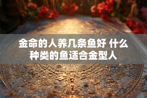 金命的人养几条鱼好 什么种类的鱼适合金型人