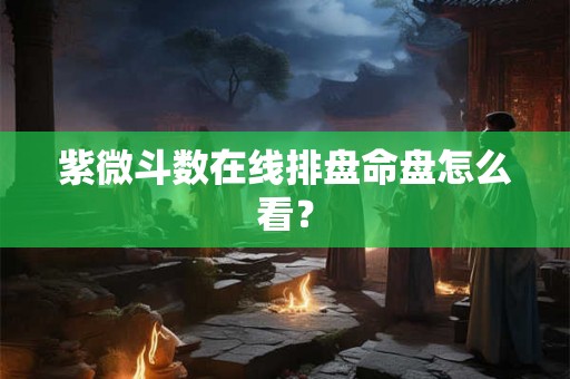 紫微斗数在线排盘命盘怎么看? 紫微斗数在线排盘命盘怎么看?