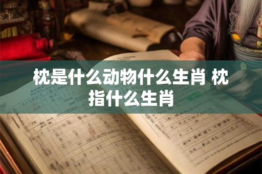 枕是什么动物什么生肖 枕指什么生肖