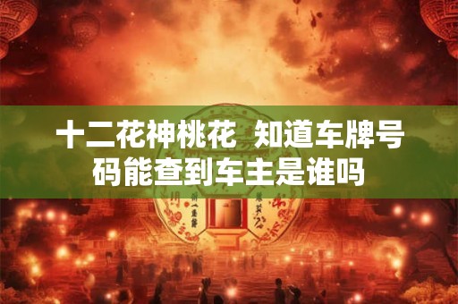 十二花神桃花  知道车牌号码能查到车主是谁吗