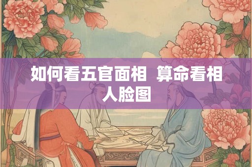 如何看五官面相  算命看相人脸图
