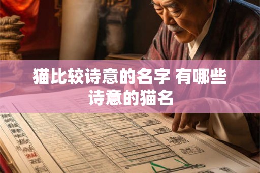 猫比较诗意的名字 有哪些诗意的猫名 猫比较诗意的名字 有哪些诗意的猫名