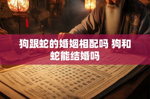 狗跟蛇的婚姻相配吗 狗和蛇能结婚吗