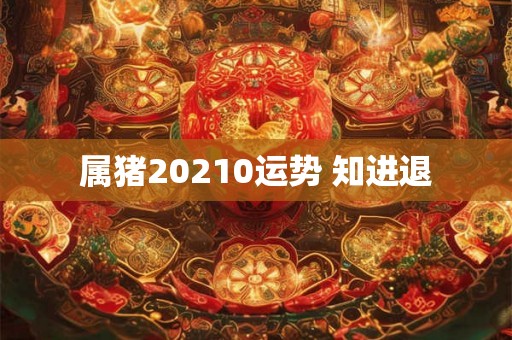 属猪20210运势 知进退 属猪20210运势 知进退