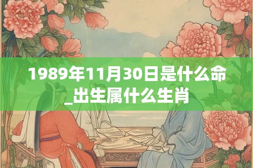 1989年11月30日是什么命_出生属什么生肖