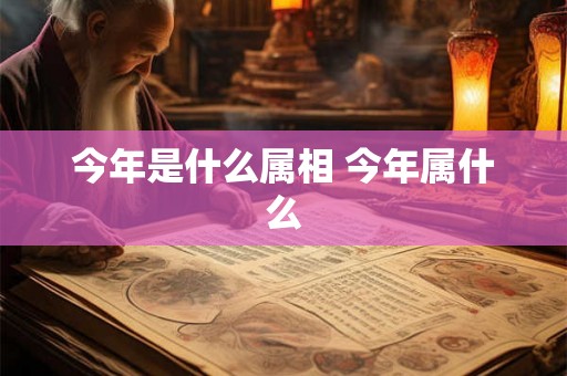 今年是什么属相 今年属什么