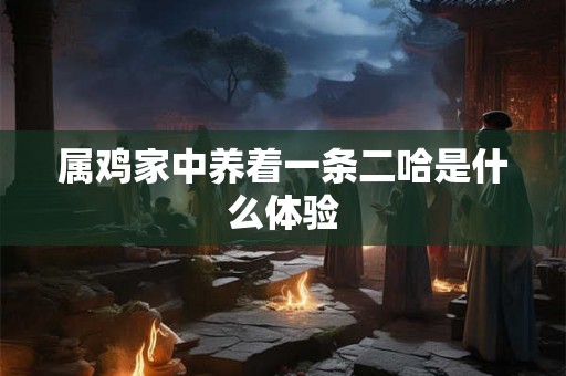 属鸡家中养着一条二哈是什么体验