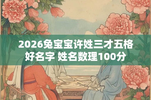 2026兔宝宝许姓三才五格好名字 姓名数理100分