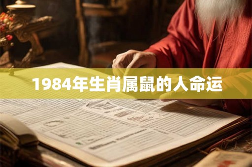 1984年生肖属鼠的人命运 1984年生肖属鼠的人命运