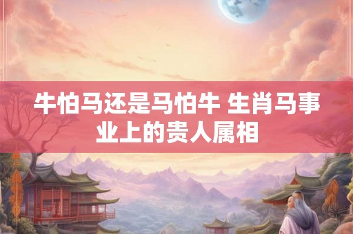 牛怕马还是马怕牛 生肖马事业上的贵人属相