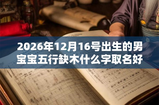 2026年12月16号出生的男宝宝五行缺木什么字取名好