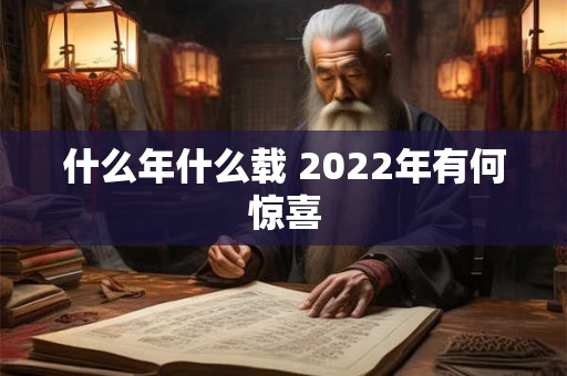 什么年什么载 2022年有何惊喜