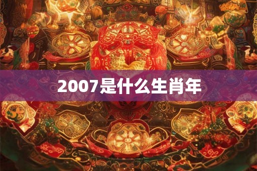 2007是什么生肖年 2007是什么生肖年