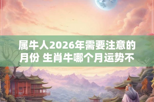 属牛人2026年需要注意的月份 生肖牛哪个月运势不顺