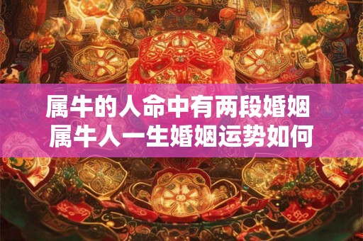 属牛的人命中有两段婚姻 属牛人一生婚姻运势如何