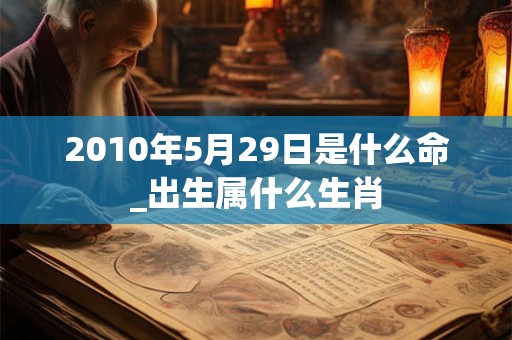2010年5月29日是什么命_出生属什么生肖