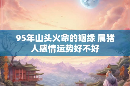 95年山头火命的姻缘 属猪人感情运势好不好