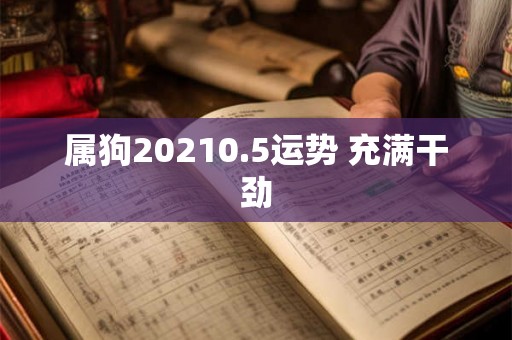 属狗20210.5运势 充满干劲 属狗20210.5运势 充满干劲