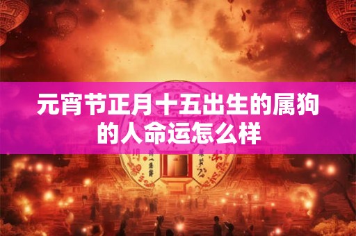 元宵节正月十五出生的属狗的人命运怎么样 元宵节正月十五出生的属狗的人命运怎么样