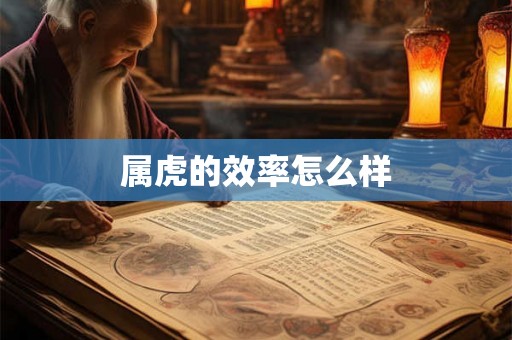 属虎的效率怎么样