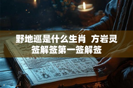 野地巡是什么生肖 方岩灵签解签第一签解签 野地巡是什么生肖 方岩灵签解签第一签解签