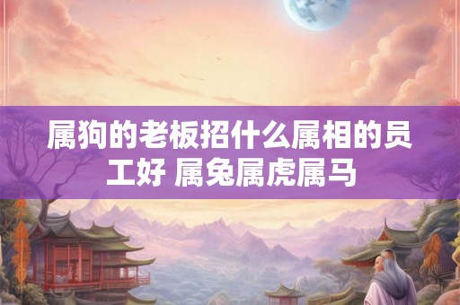 属狗的老板招什么属相的员工好 属兔属虎属马