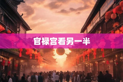 官禄宫看另一半 官禄宫看另一半