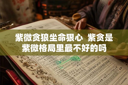 紫微贪狼坐命狠心 紫贪是紫微格局里最不好的吗 紫微贪狼坐命狠心 紫贪是紫微格局里最不好的吗
