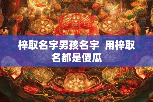梓取名字男孩名字  用梓取名都是傻瓜