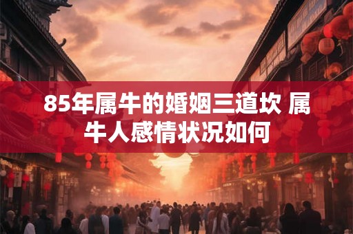 85年属牛的婚姻三道坎 属牛人感情状况如何