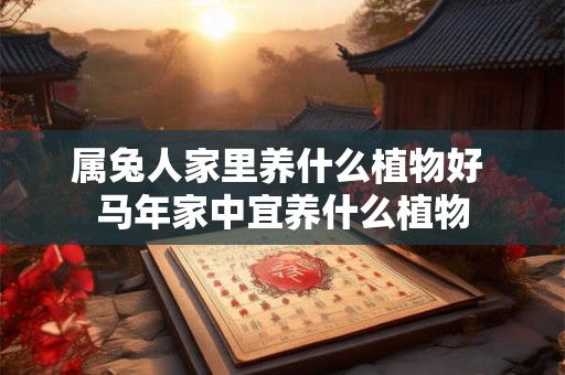属兔人家里养什么植物好 马年家中宜养什么植物