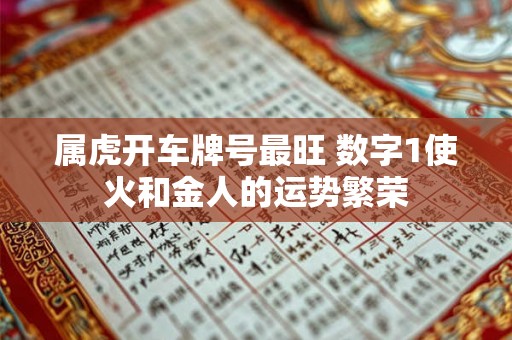 属虎开车牌号最旺 数字1使火和金人的运势繁荣
