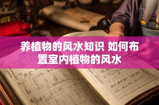 养植物的风水知识 如何布置室内植物的风水