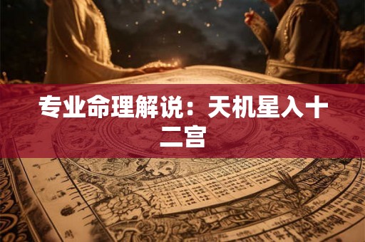 专业命理解说:天机星入十二宫 专业命理解说:天机星入十二宫