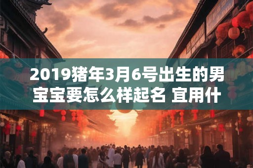 2019猪年3月6号出生的男宝宝要怎么样起名 宜用什么字
