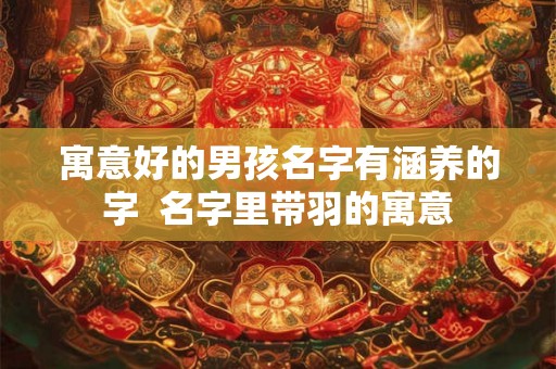寓意好的男孩名字有涵养的字  名字里带羽的寓意