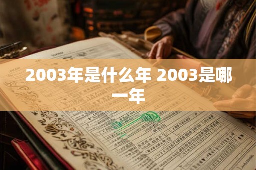 2003年是什么年 2003是哪一年