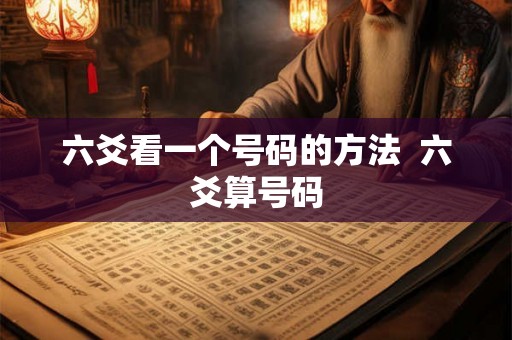 六爻看一个号码的方法  六爻算号码