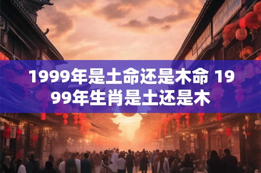 1999年是土命还是木命 1999年生肖是土还是木