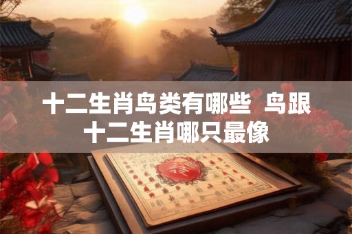 十二生肖鸟类有哪些  鸟跟十二生肖哪只最像
