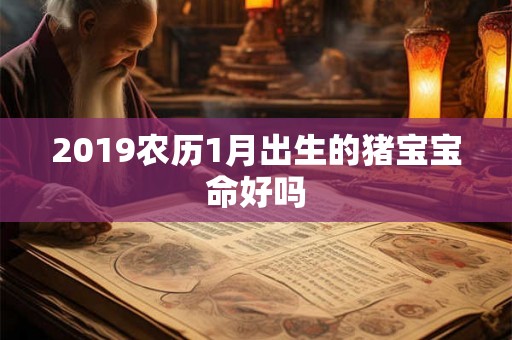 2019农历1月出生的猪宝宝命好吗