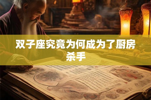 双子座究竟为何成为了厨房杀手