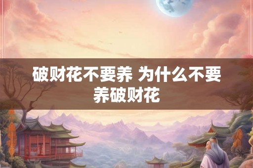 破财花不要养 为什么不要养破财花