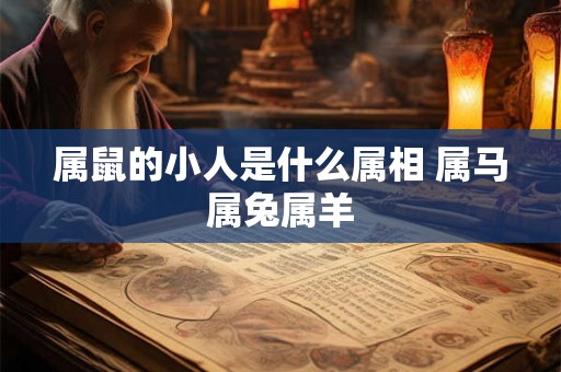 属鼠的小人是什么属相 属马属兔属羊