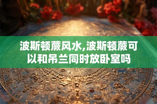 波斯顿蕨风水,波斯顿蕨可以和吊兰同时放卧室吗