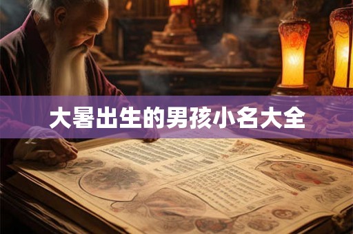 大暑出生的男孩小名大全