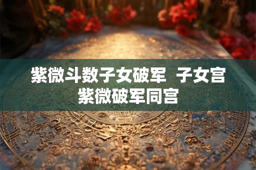 紫微斗数子女破军  子女宫紫微破军同宫