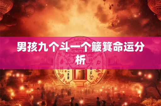 男孩九个斗一个簸箕命运分析