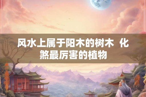 风水上属于阳木的树木  化煞最厉害的植物